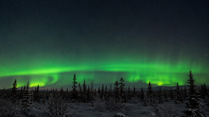 Green aurora glowing on the northern horizon above a snowy forest landscape
